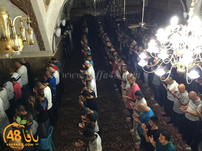 qader yaffa msajed (12).jpg